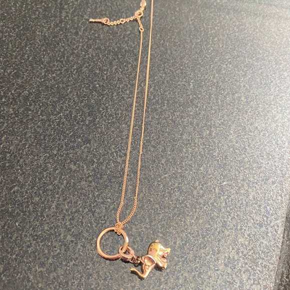 FOSSIL NECKLACE - Picture 2 of 9